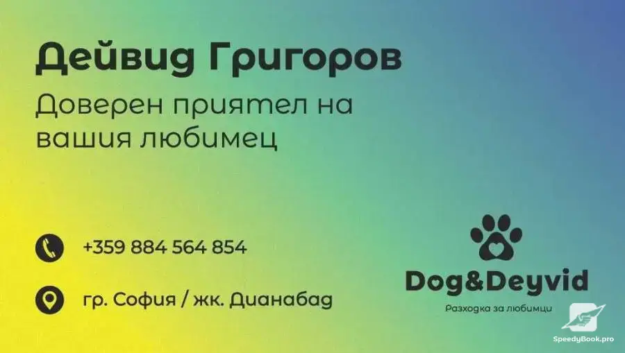 Разхождане на кучета и Хранене на котки