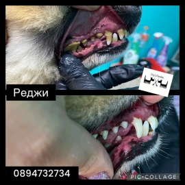 Груминг салон Пловдив
