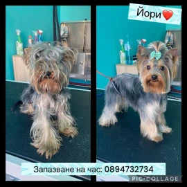 Груминг салон Пловдив