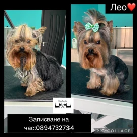 Груминг салон Пловдив