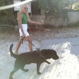 PET HOTEL - pets, dogs, cats and other Stara Zagora