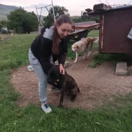 "Хотел" за кучета/гледач/35-40лв.