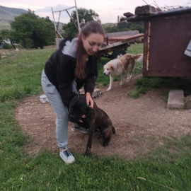 "Хотел" за кучета/гледач/35-40лв.