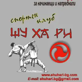 Shotokan karate-do training