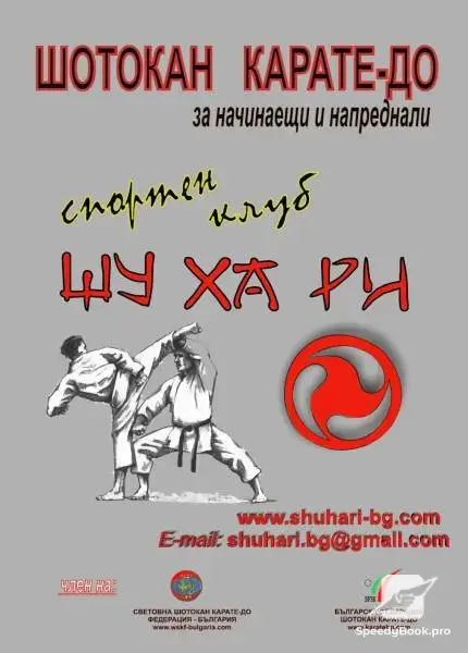 Shotokan karate-do training