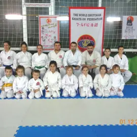 Shotokan karate-do training