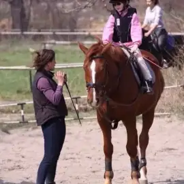 Riding,sport and amateur,Sofia
