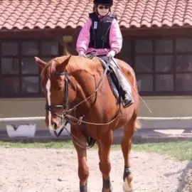 Riding,sport and amateur,Sofia