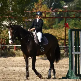 Riding,sport and amateur,Sofia