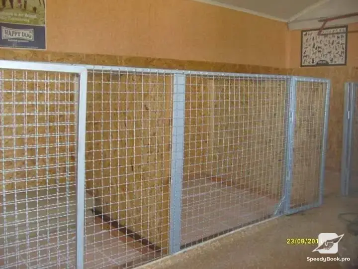 Dog Hotel and Labrador Kennel