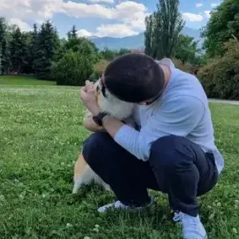 Walk Training Raising Dogs