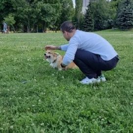 Разходка Обучение Отглеждане на Кучета