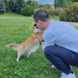 Разходка Обучение Отглеждане на Кучета