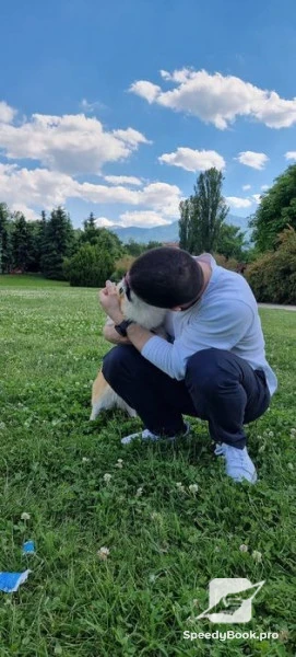 Разходка Обучение Отглеждане на Кучета