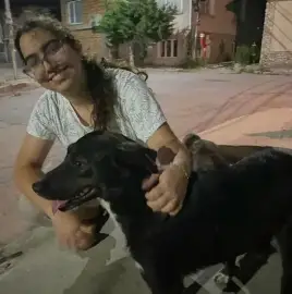 Reliable dog walking - Love Animals