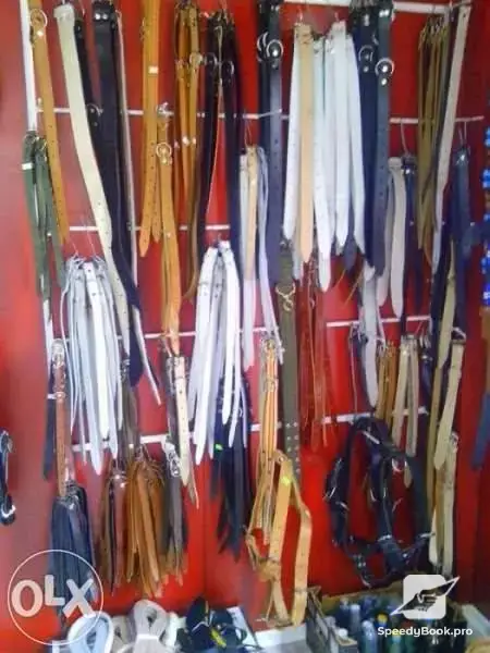 Making of halters, reins and palfrey - a whole devise for horse