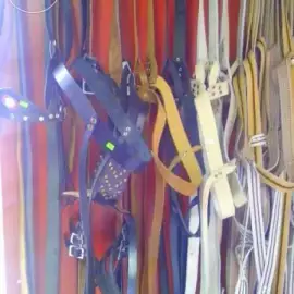 Making of halters, reins and palfrey - a whole devise for horse