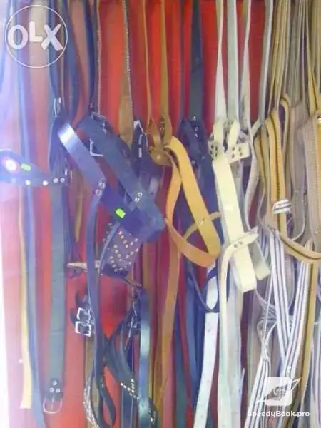 Making of halters, reins and palfrey - a whole devise for horse