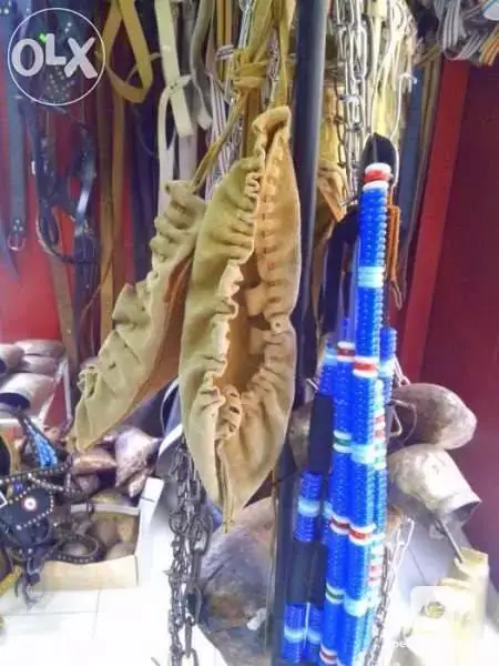 Making of halters, reins and palfrey - a whole devise for horse