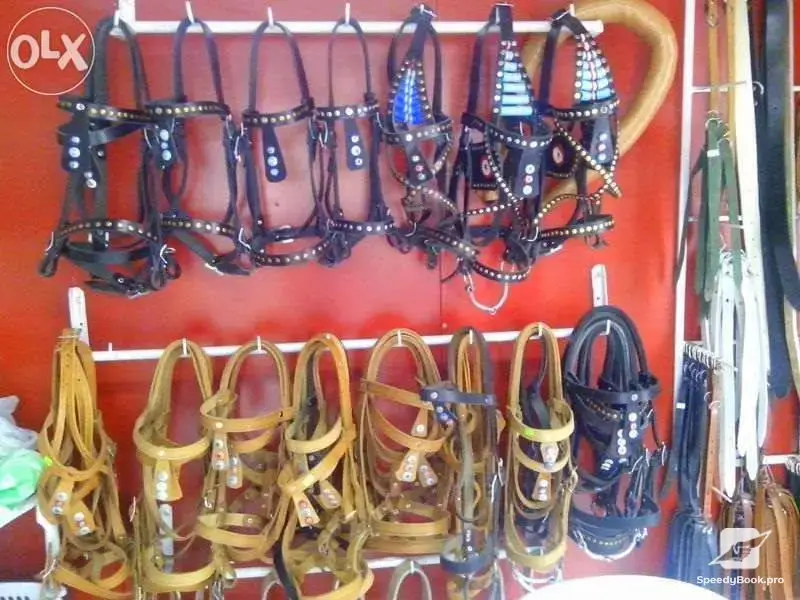 Making of halters, reins and palfrey - a whole devise for horse