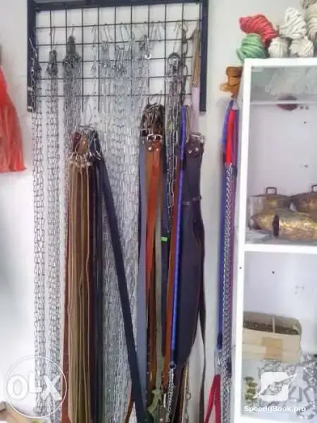 Making of halters, reins and palfrey - a whole devise for horse