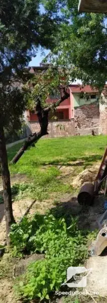 Хотел за кучета игри на воля София