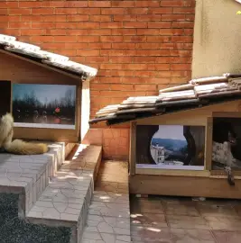 Hotel for dogs games at will Sofia