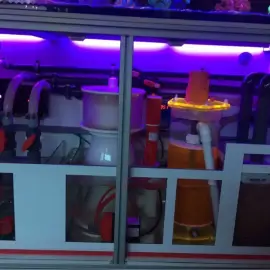 Marine Aquariums (construction and maintenance)