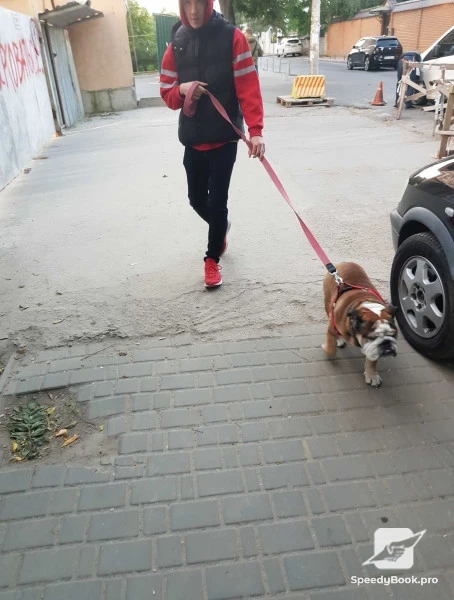 In Varna personal walks of your dog!