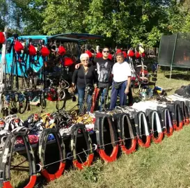 horses-ammunition-sarach