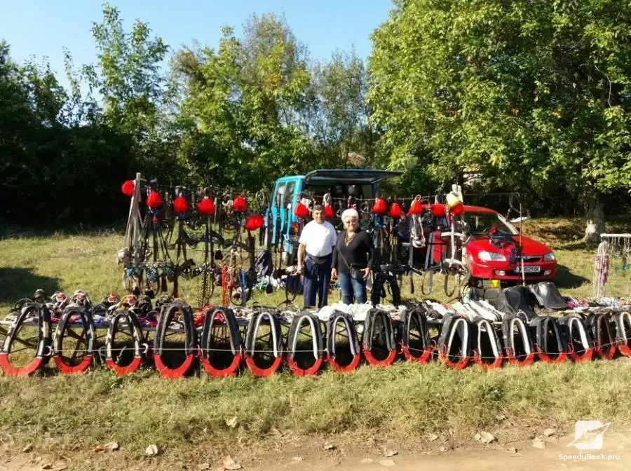 horses-ammunition-sarach