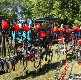 horses-ammunition-sarach