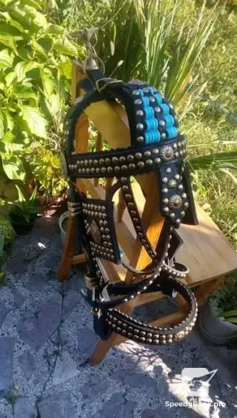 horses-ammunition-sarach