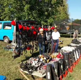 horses-ammunition-sarach