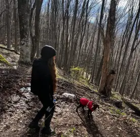 Dog walking Sofia - caring and responsible person for your pet