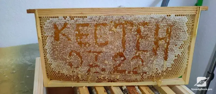 Beehives - Hives - Pchelni kosheri - Kosheri 180lv