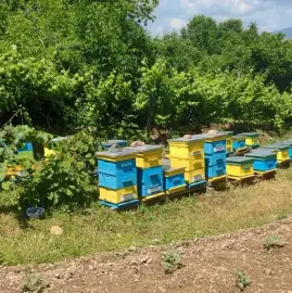 Beehives - Hives - Pchelni kosheri - Kosheri 180lv
