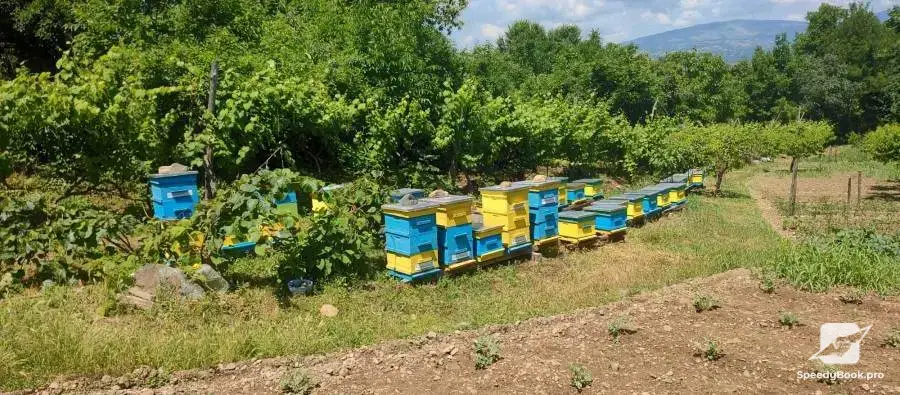 Beehives - Hives - Pchelni kosheri - Kosheri 180lv