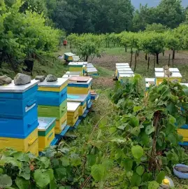 Beehives - Hives - Pchelni kosheri - Kosheri 180lv