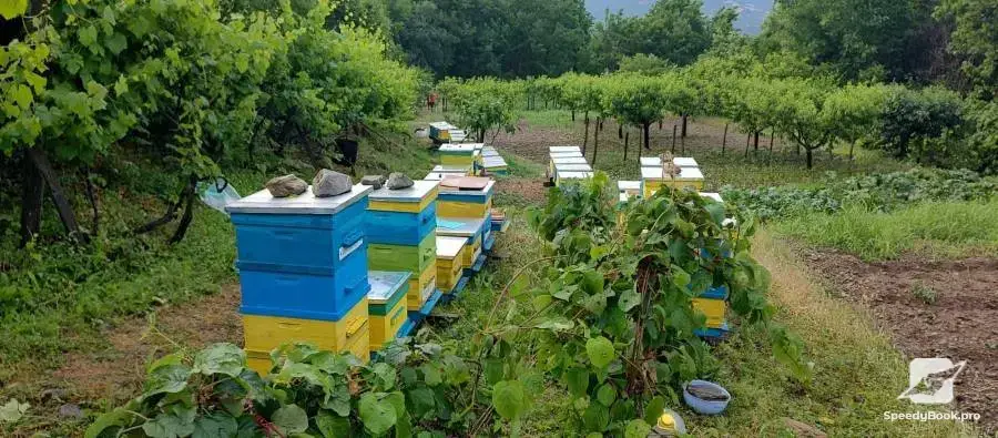 Beehives - Hives - Pchelni kosheri - Kosheri 180lv