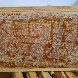 Ульи - Ульи - Pchelni kosheri - Kosheri 180lv