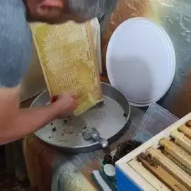 Beehives - Hives - Pchelni kosheri - Kosheri 180lv