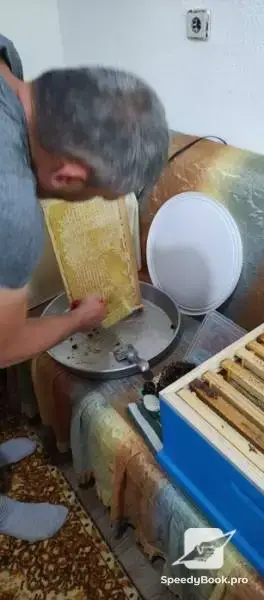 Beehives - Hives - Pchelni kosheri - Kosheri 180lv