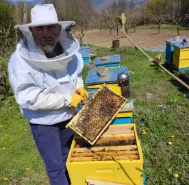 Beehives - Hives - Pchelni kosheri - Kosheri 180lv