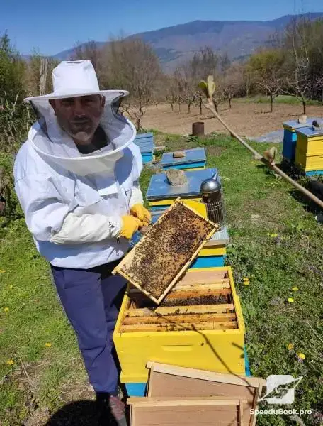 Beehives - Hives - Pchelni kosheri - Kosheri 180lv