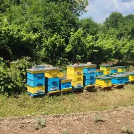 Beehives - Hives - Pchelni kosheri - Kosheri 180lv