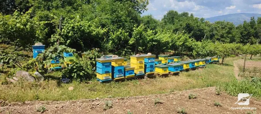Beehives - Hives - Pchelni kosheri - Kosheri 180lv