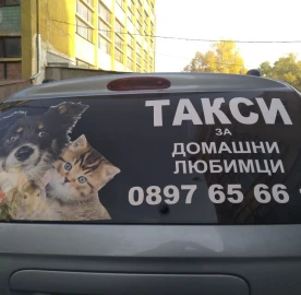 PET FEES