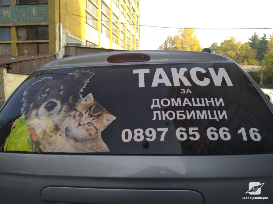 ПЛАТА ЗА СОДЕРЖАНИЕ ДОМАШНИХ ЖИВОТНЫХ