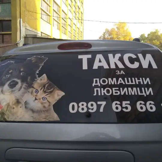 ПЛАТА ЗА СОДЕРЖАНИЕ ДОМАШНИХ ЖИВОТНЫХ